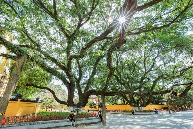 桂林山水甲天下值得来旅游的地方,中国最后一个特区桂林