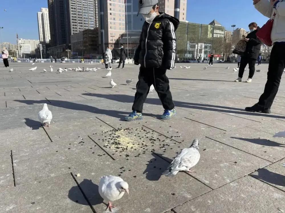 石家庄重启ing,石家庄重启后的现状