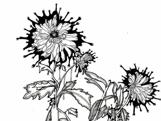 怎么讲解黑白装饰画,黑白装饰画的技法有哪些