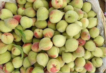 一座铁路上崛起的工业城市——开远，守望滇越百年