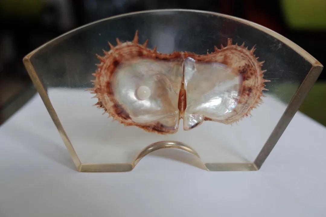 烟酰胺熊果苷是真的吗,美白产品烟酰胺熊果苷