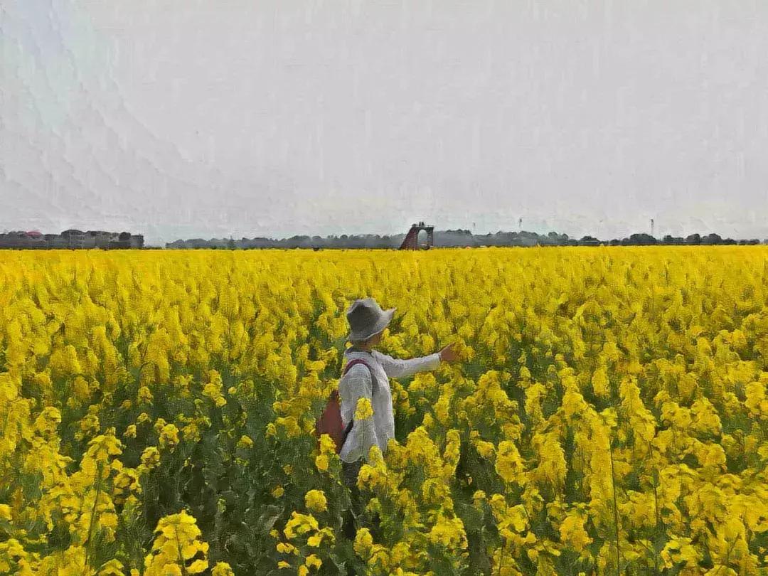 别再说安义没什么玩的了,有这一篇就够了!