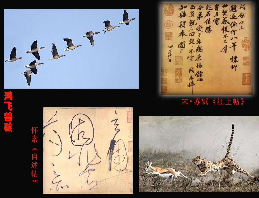 自然之美妙在于未知,自然之趣书法欣赏