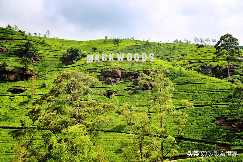 去斯里兰卡旅游攻略,1月去斯里兰卡旅游的最佳攻略