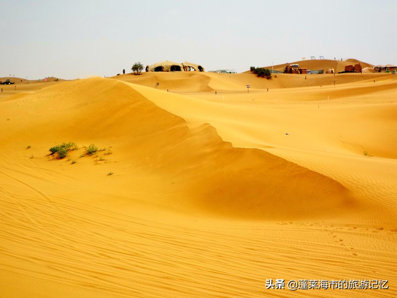 宁夏沙坡头旅游攻略,宁夏沙坡头游记