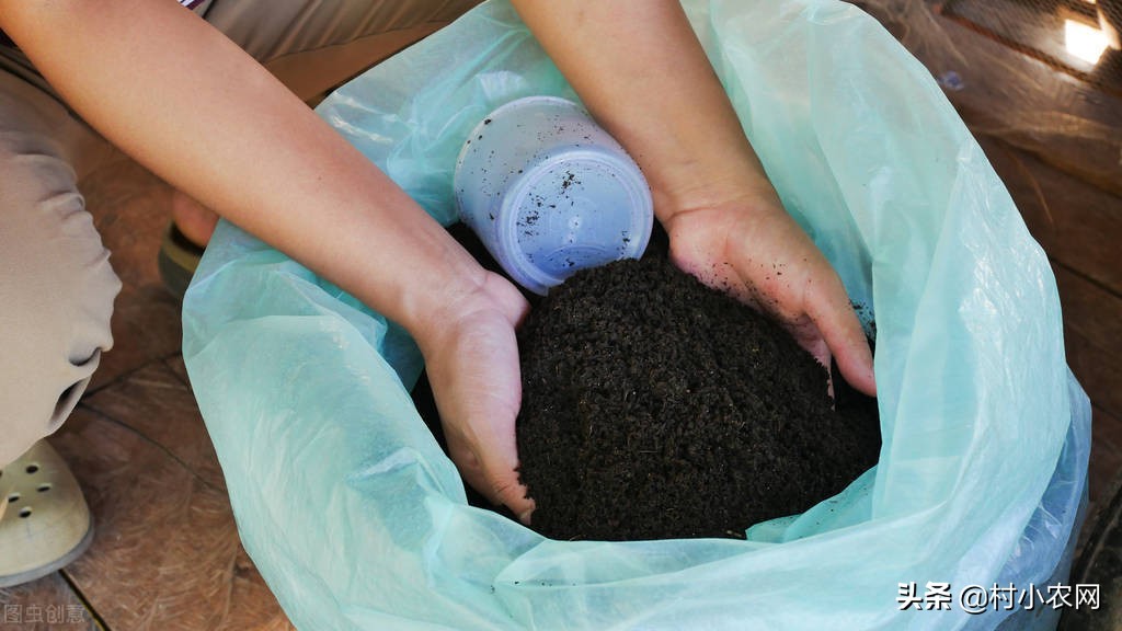 在农村创业九大赚钱项目,如果在农村创业适合做什么项目