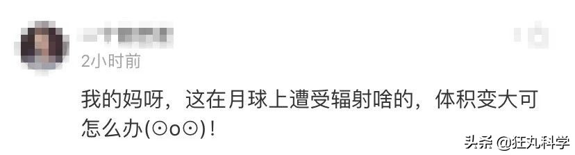 地球最强生物水熊坠落月球或幸存,地球最强的生物降临月球