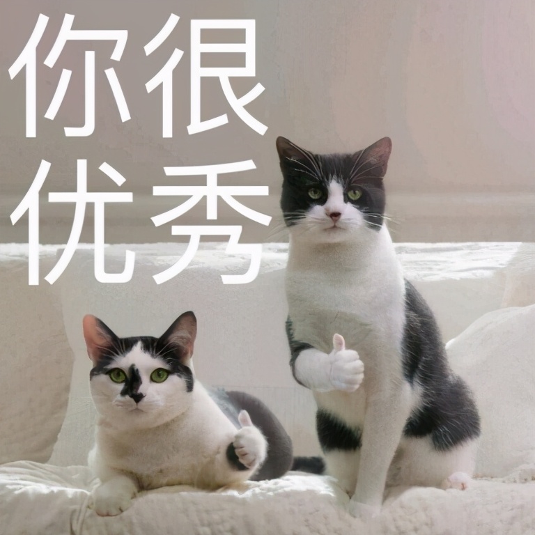 天谕颜值最高的角色,天谕角色玉虚