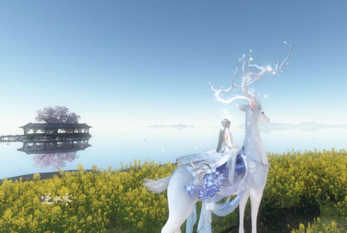 逆水寒第一富婆,逆水寒15万富婆