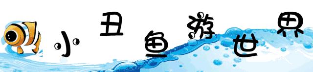 厦门方特东方神画199亲子套票,厦门方特东方神画优惠套票