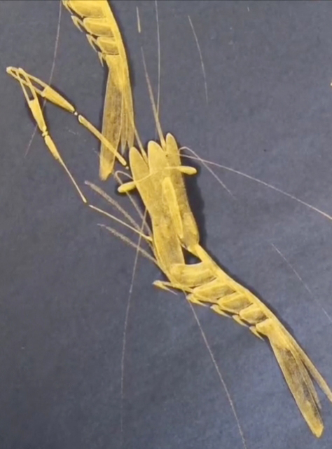 金源国画大师,金源画家