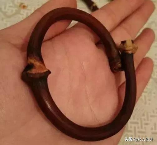 山上随便砍的藤条，竟然比金刚还牛逼！（附带制做方法）