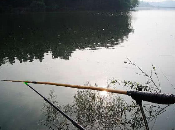 自己动手制作竹竿钓鱼,如何制作简易竹竿钓鱼