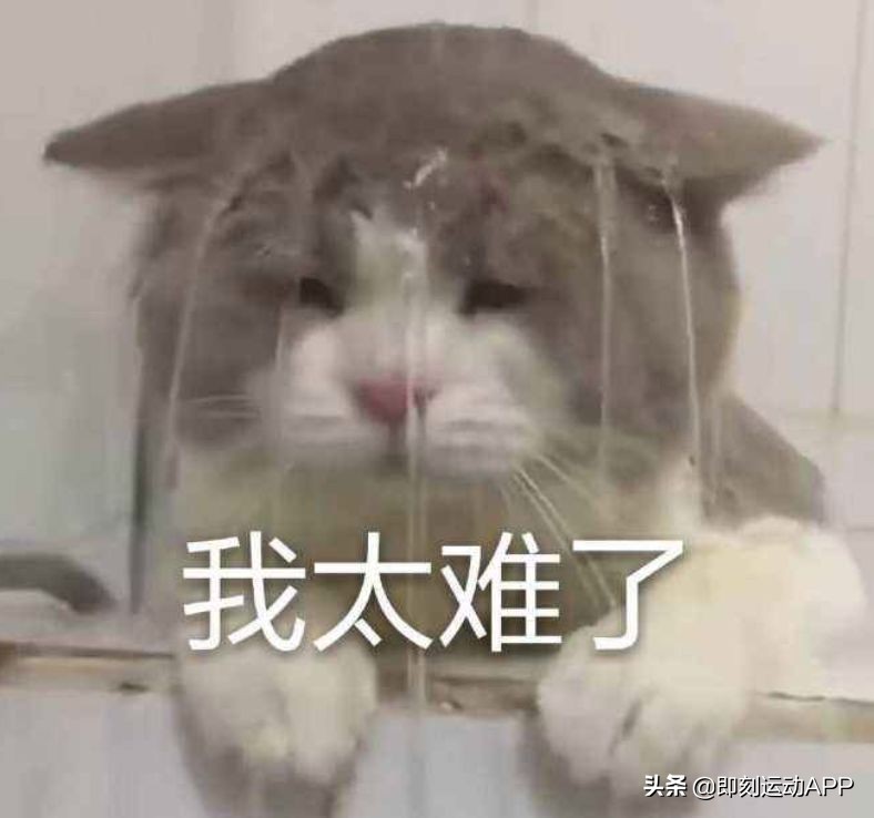 每年冬天都长胖怎么办,每逢过冬胖五斤