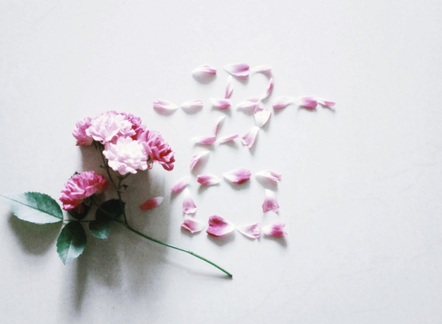 昭君诗词大全100首,最美昭君诗