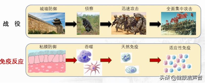 免疫系统对抗绝大多数疾病,自身免疫系统疾病是怎么患上的