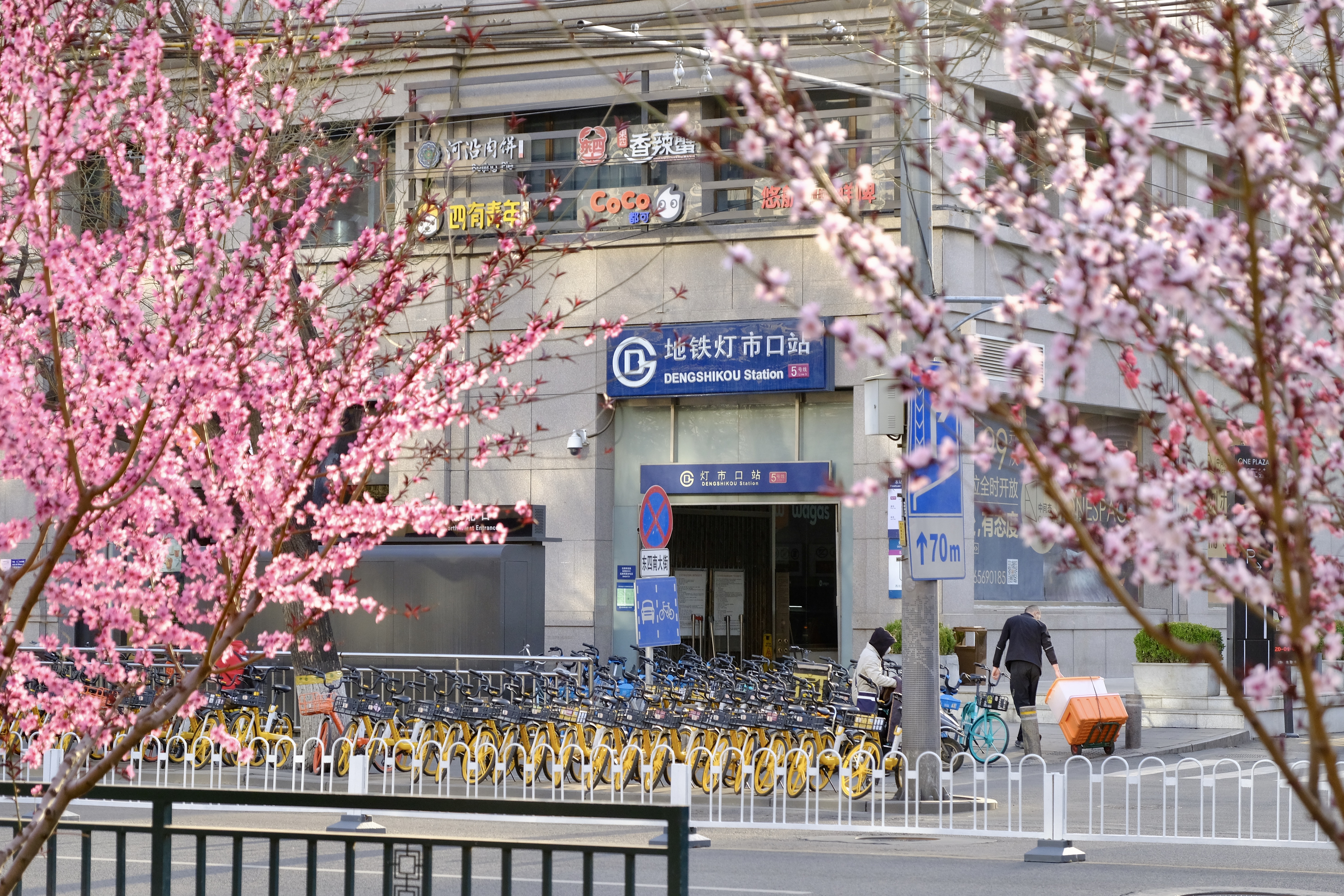开往地铁上的春天,开往春天的地铁邂逅京城的花开