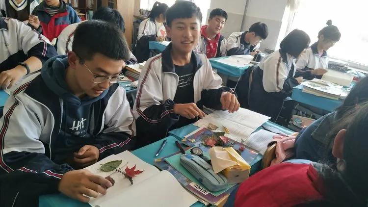育才中学美丽校园,阜新市育才中学照片