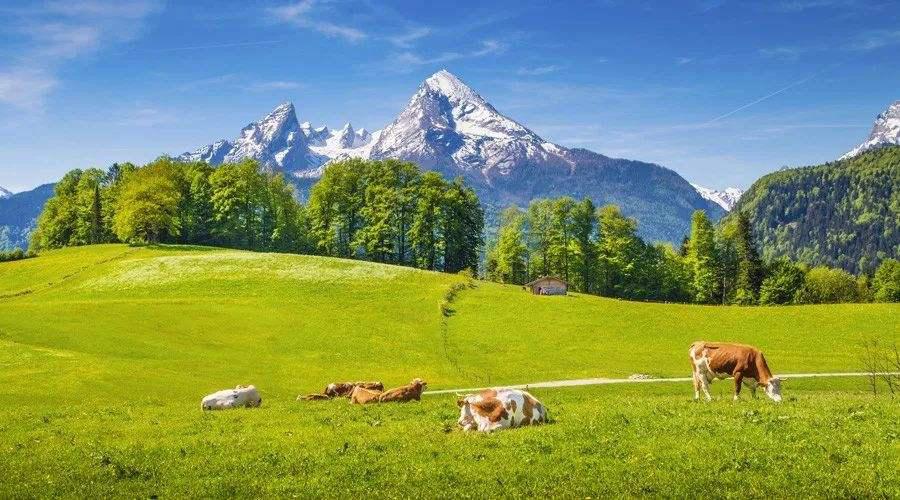 爱婴坊大量要奶粉是为什么,爱婴坊怎么选择奶粉