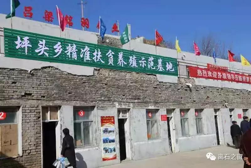 发展赛鸽养殖助力贫困户脱贫致富,铭羽鸽业