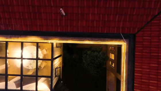 人均300还需要提前预约？这家店凭啥独占海口人的舌尖C位？