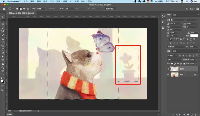 ps选区基础操作教程,ps基础教程新手快速建立选区