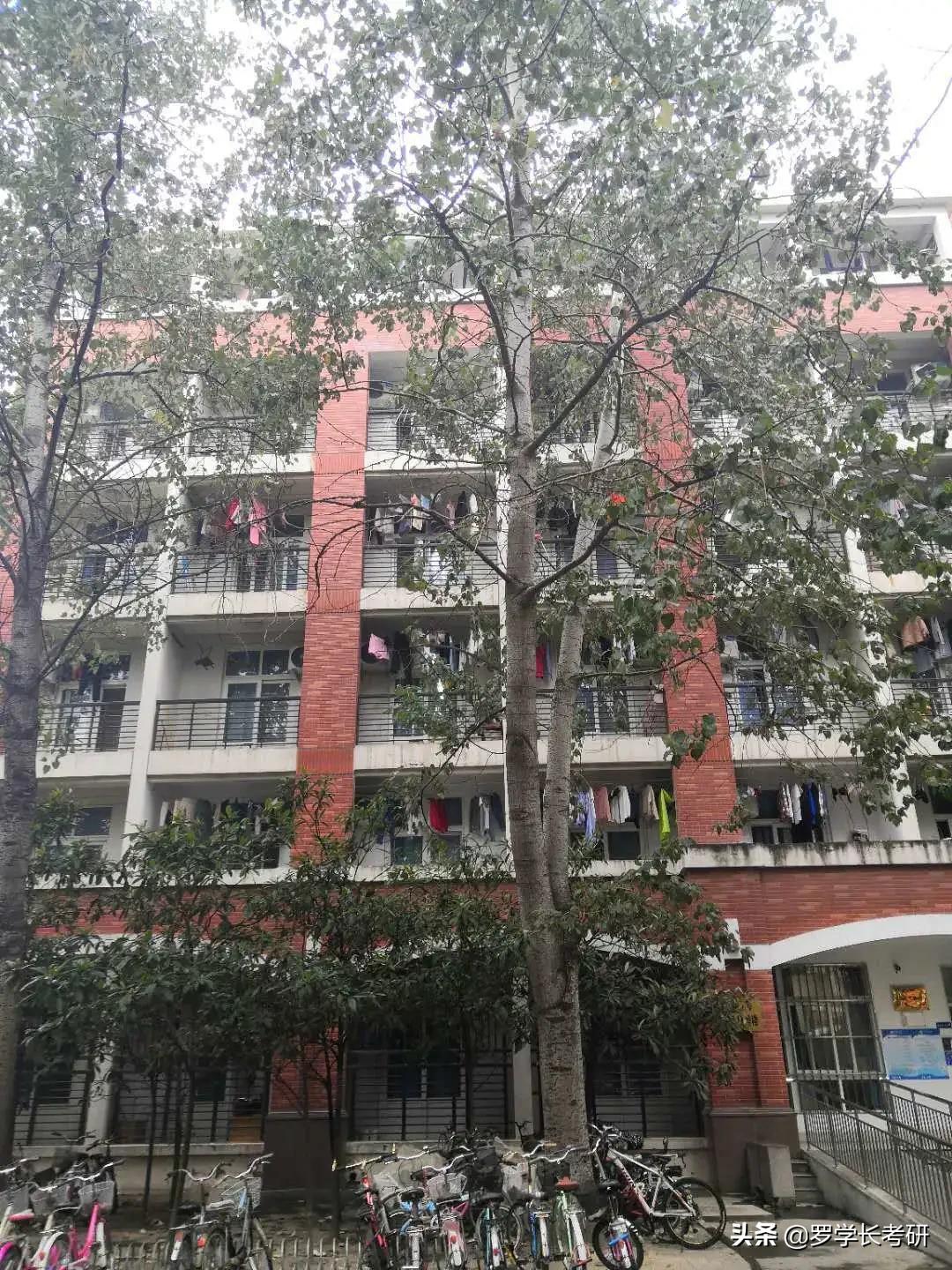 郑大研究生新生攻略,研究生期间印象深刻的事情