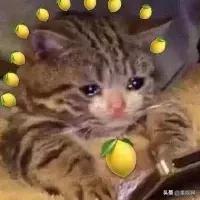 张元英和iu谁更漂亮,张元英izone时期刘海