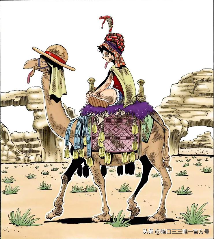 海贼王版《金刚》上映,娜美一个举动令人色变!路飞居然外借草帽