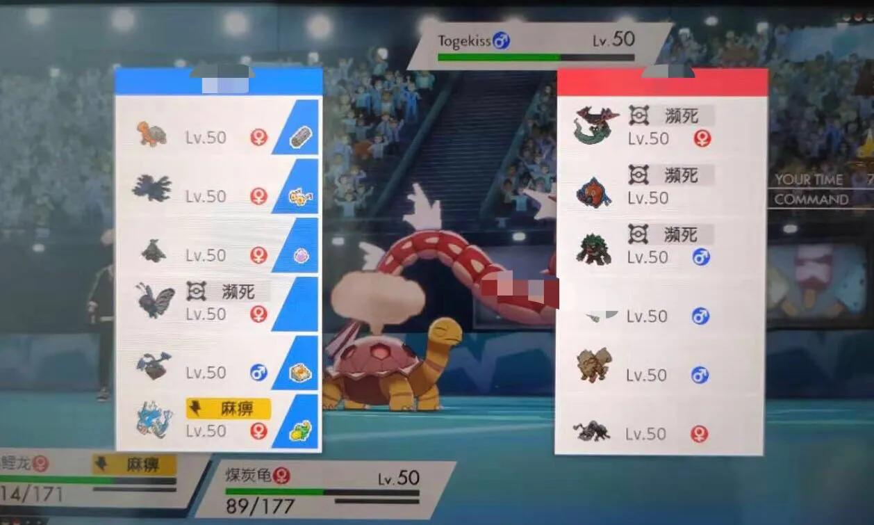 宝可梦剑盾通关队伍推荐,宝可梦剑盾前期推荐培养