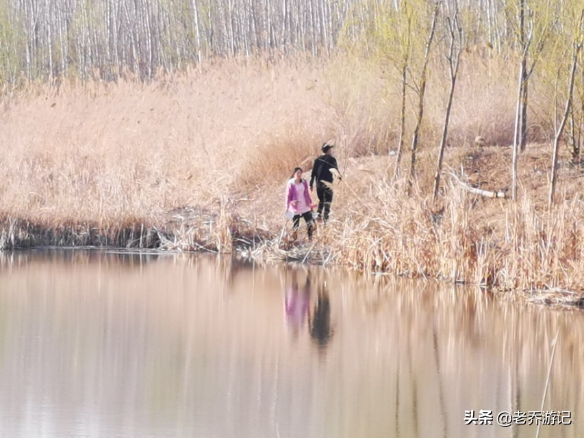 济南钓鱼新闻,济南垂钓圈