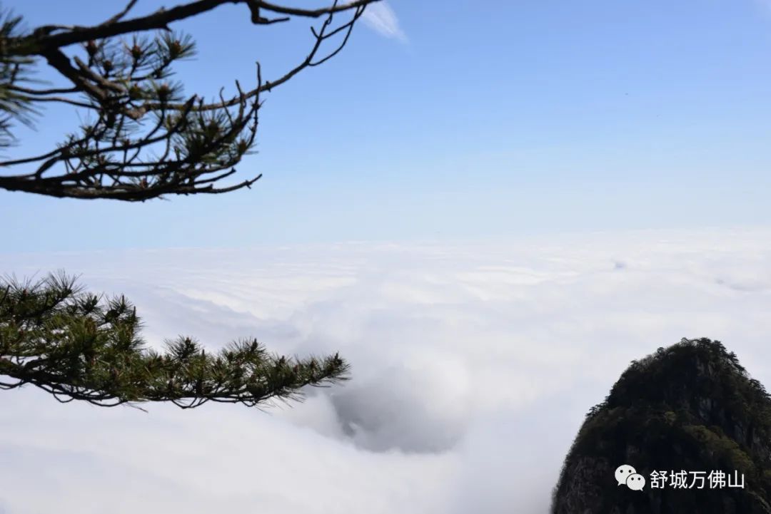 舒城万佛山申请5a级旅游景区,舒城万佛山风景区门票