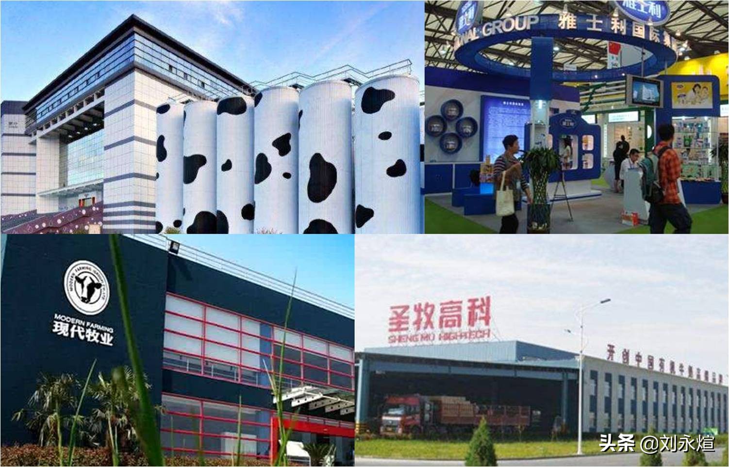 左手卖君乐宝,右手买贝拉米:蒙牛萌萌的千亿进阶逻辑