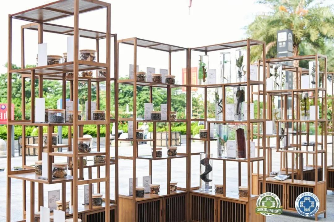 传承中医薪火献礼建党百年,喜迎2021国医节弘扬中医文化