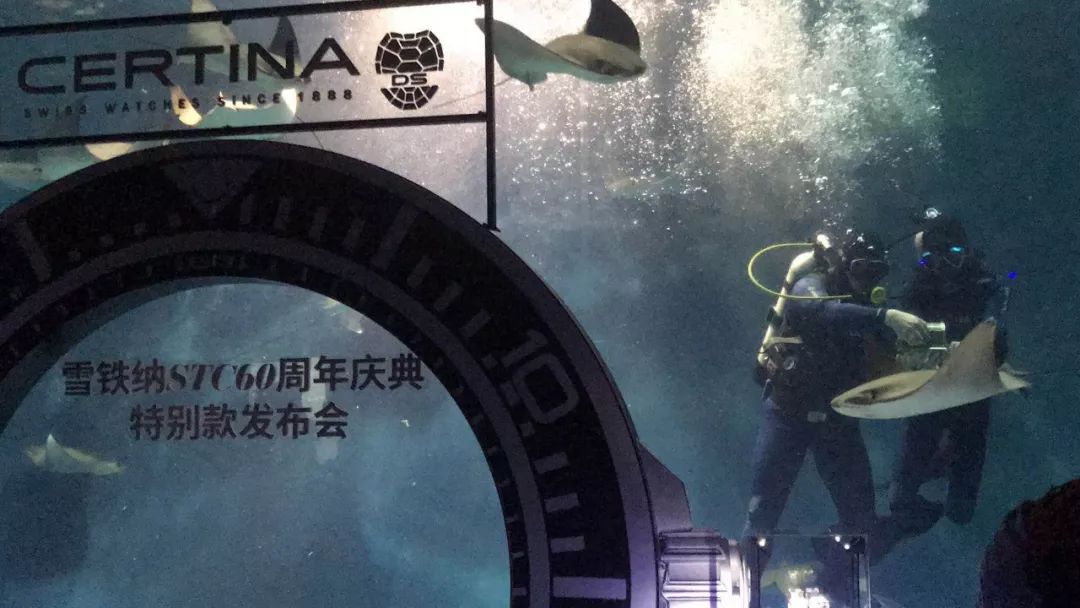 性价比高的石英潜水表,500米防水潜水表推荐