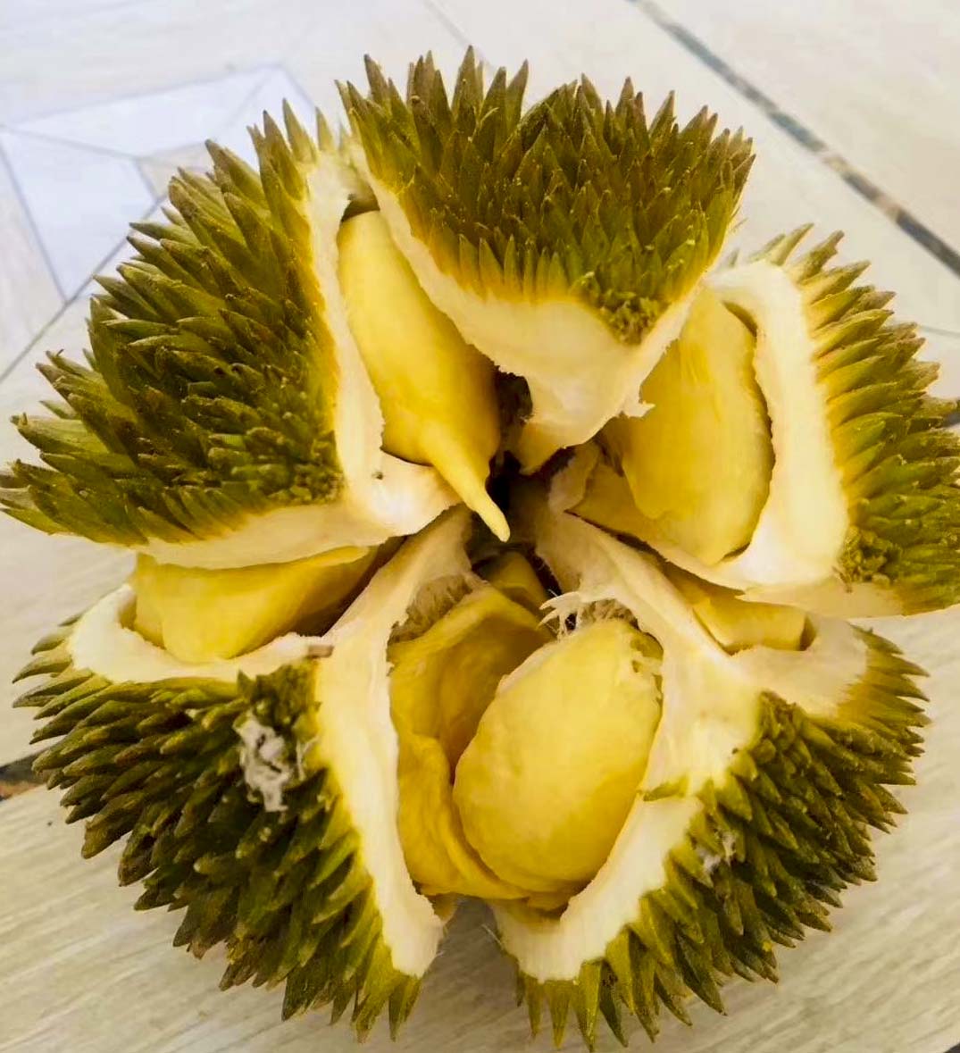 泰国榴莲金枕甜甜的,泰国金枕榴莲泰美味什么价格