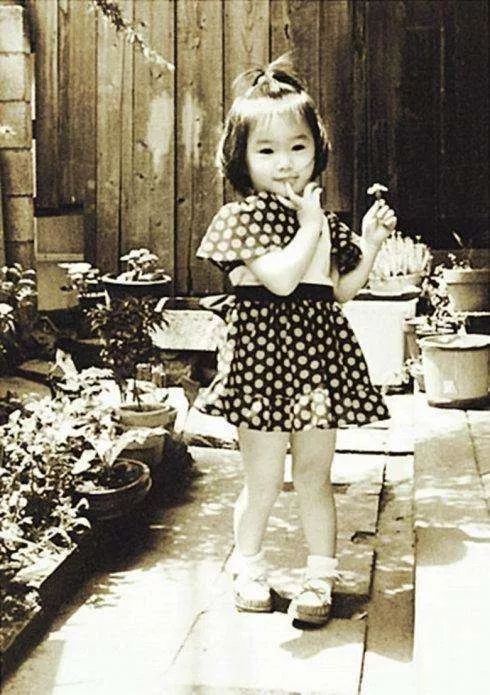 酒井法子的唏嘘往事,酒井法子具体资料