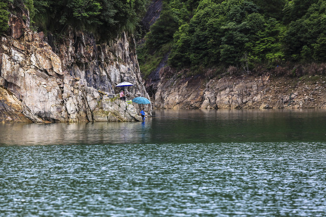 闽南鱼王500斤的大青鱼,中国淡水青鱼最大鱼王