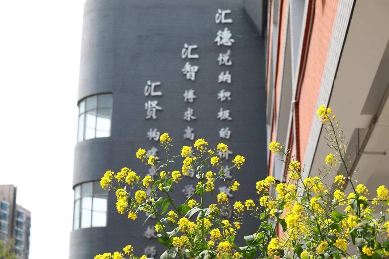 名校力量|她是鼓楼初中“盟主”学校