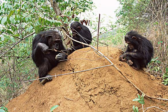 头被砍掉的刹那间，是头觉得肉身掉了，还是身体觉得头没了？