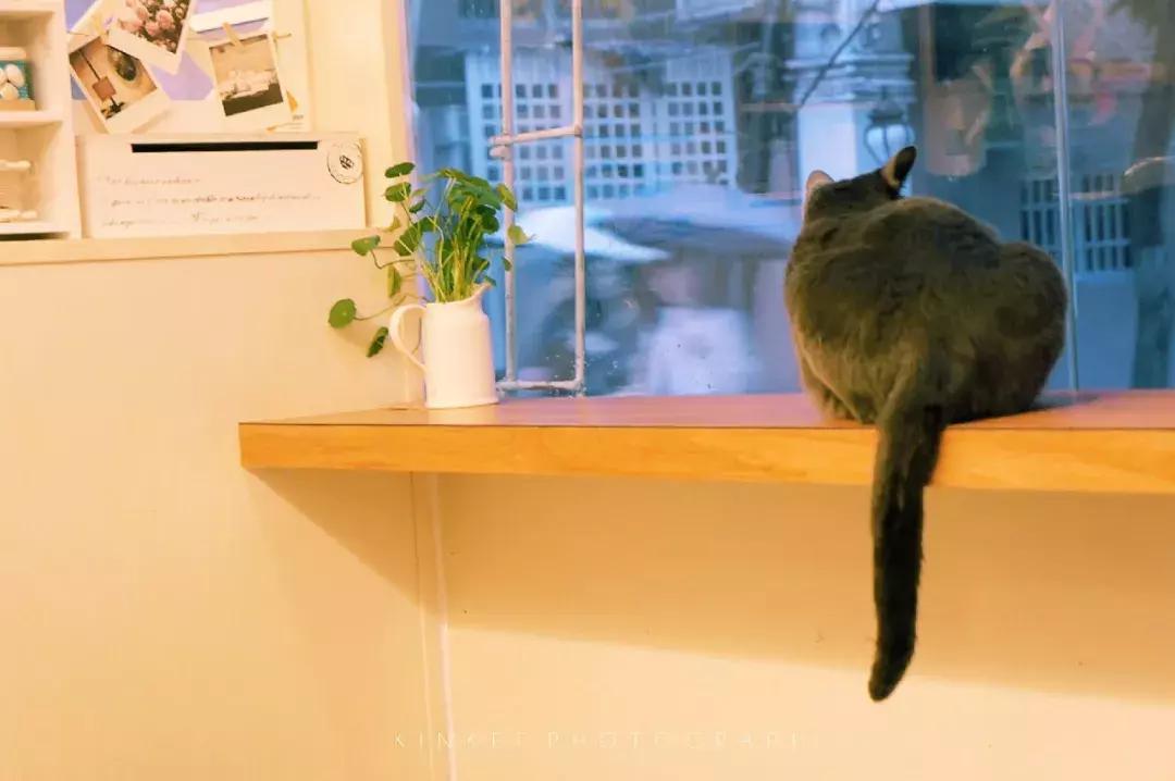 年度最佳微小说三篇看完难以忘怀,十大最经典的微小说