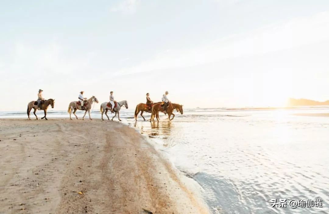 普吉岛瑜伽之旅,世界瑜伽圣地在哪里
