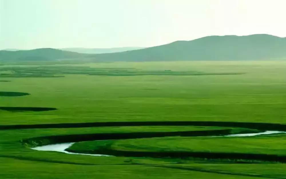 进博会医药巨头,进博会工业巨头