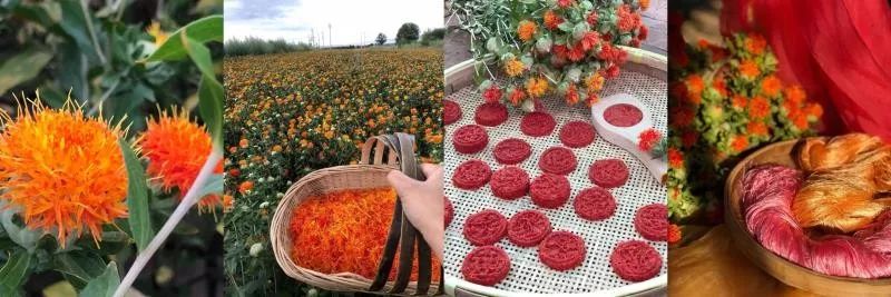 红花、板蓝根还能做衣服染料?她设计的传统服饰比欧美大牌还时尚