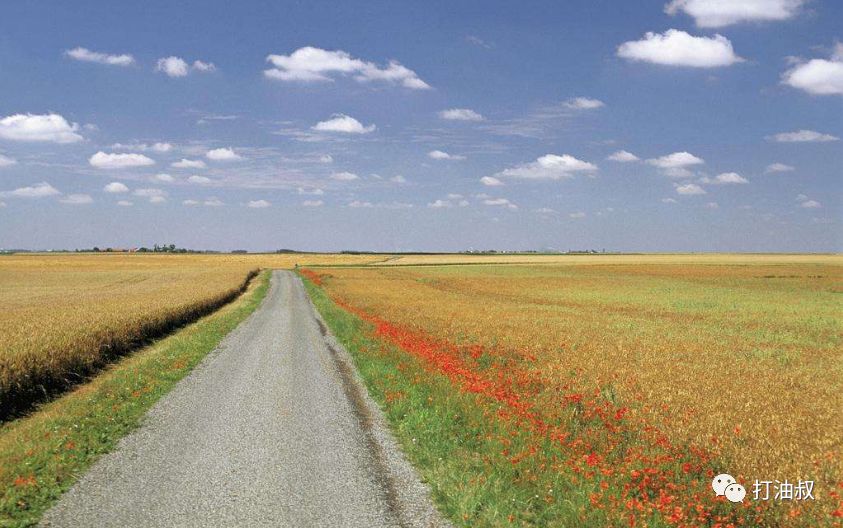 卢瓦尔河谷古堡之旅 (法国卢瓦尔河谷后花园)