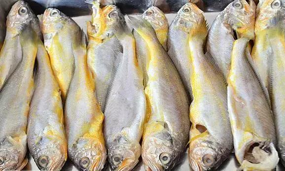 防城港怎么吃海鲜便宜不被坑,防城港干货海鲜有哪些