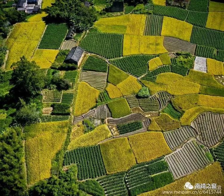 漳州南靖：有一种美，叫秋天的南靖