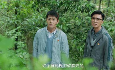 在希望的田野上电视剧支教老师,电视剧在希望的田野上支教老师