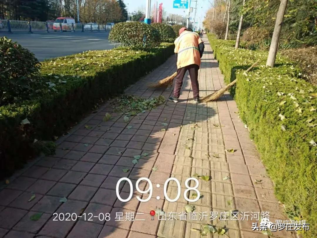 罗庄新闻发布,来了新闻早班车微信版