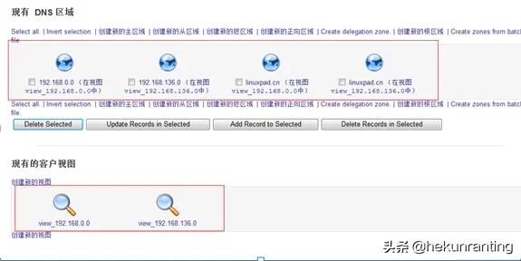 企业内网不搭建dns服务可以吗,局域网dns服务器架设